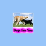 dogs for you android application logo